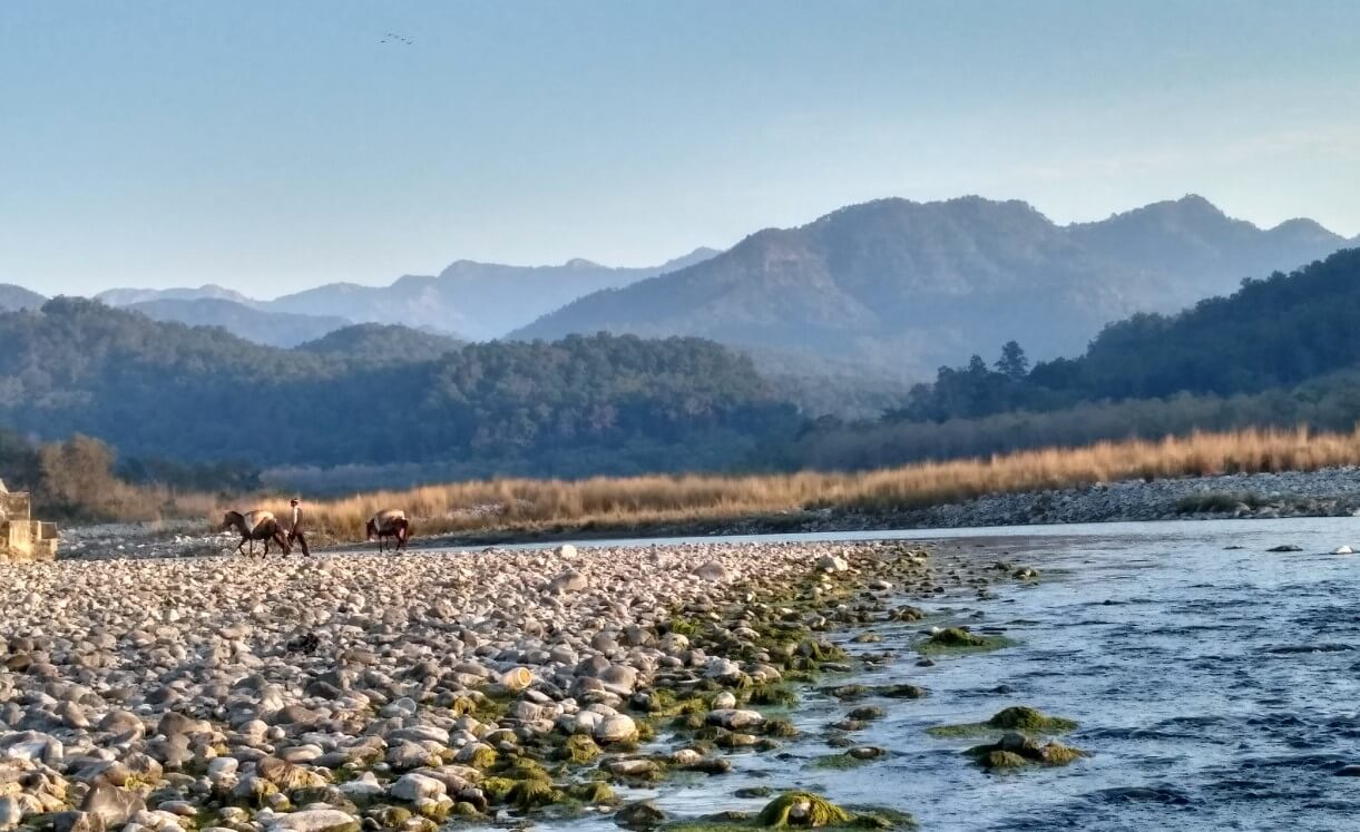 Ramnagar
